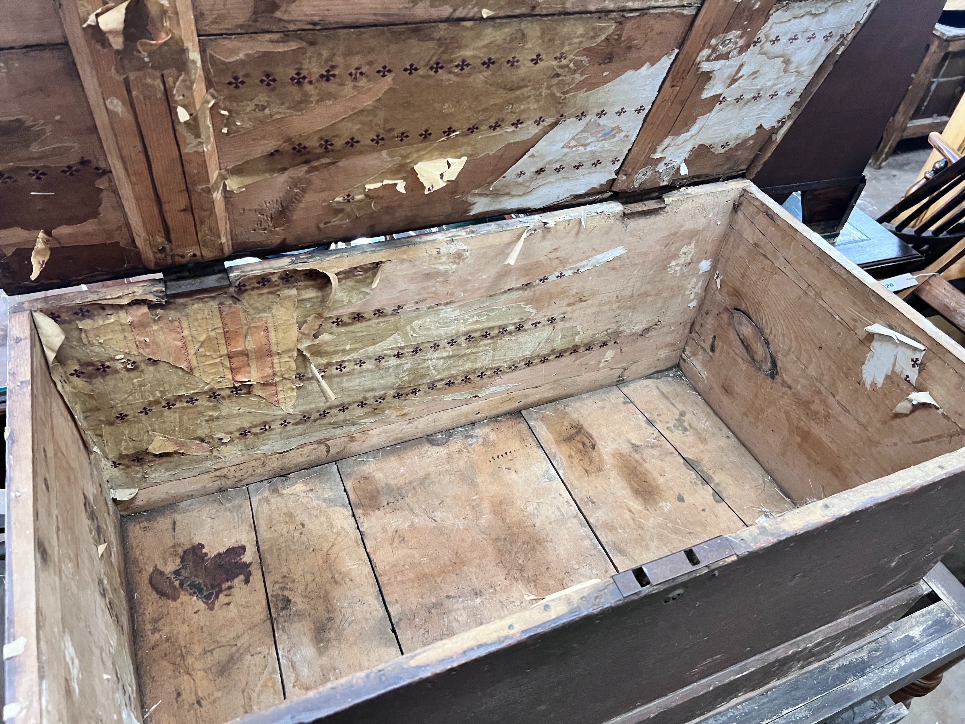 A stained and painted pine trunk, width 92cm *Please note the sale commences at 9am.